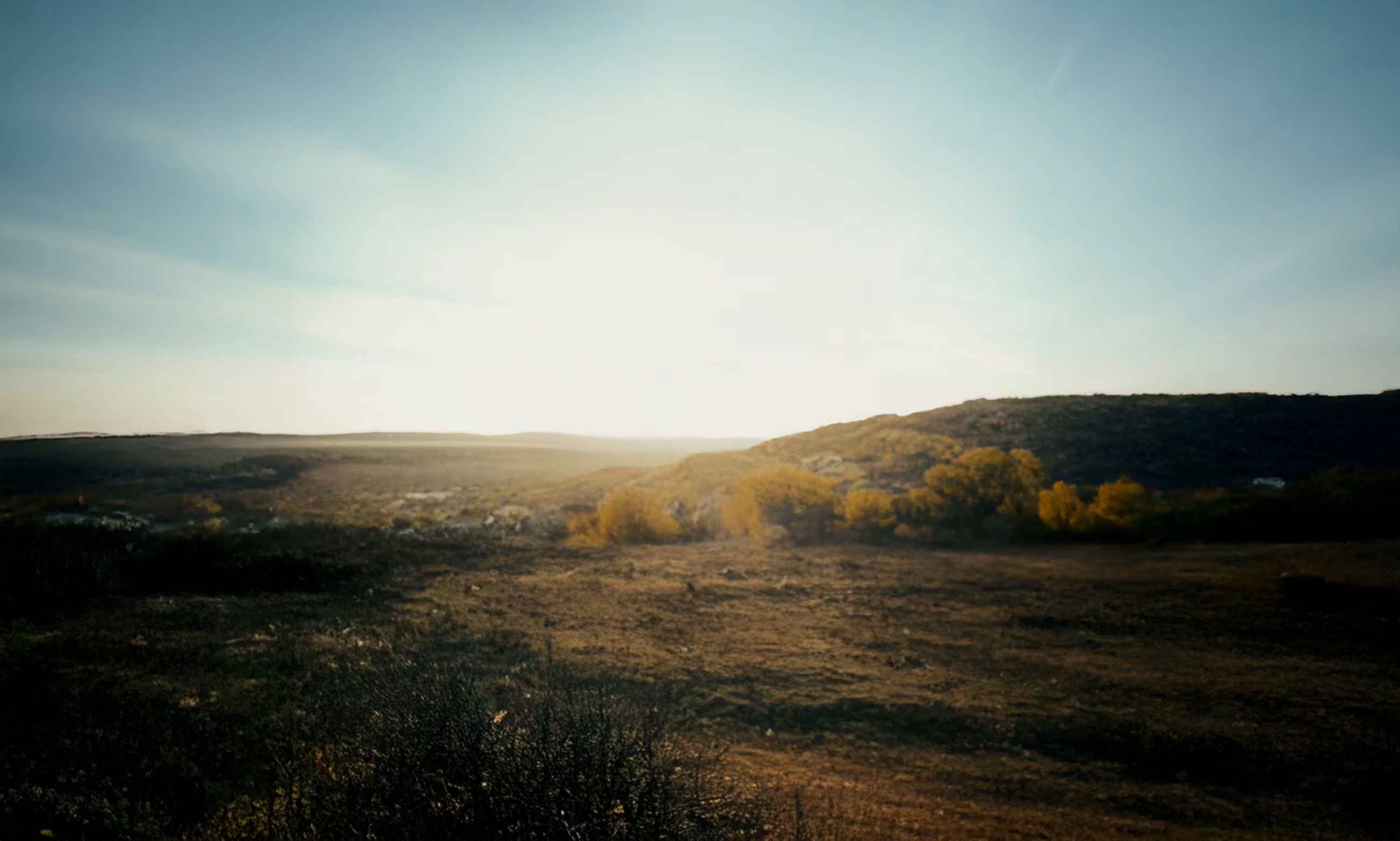 Background scene